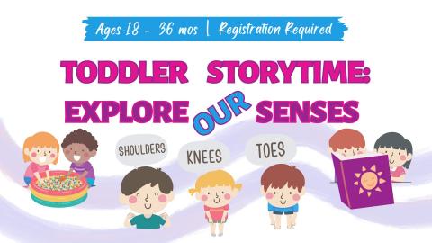 Graphic pics of toddlers playing with sensory balls, reading a book, and acting out the song 'head, shoulders, knees, and toes'.   Text reads Toddler Storytime: Explore our Senses, Ages 18-36 months.