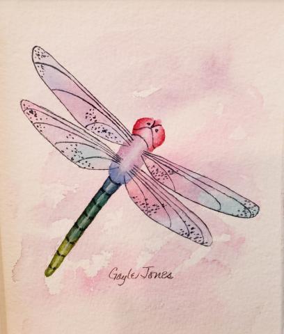 dragonfly watercolor