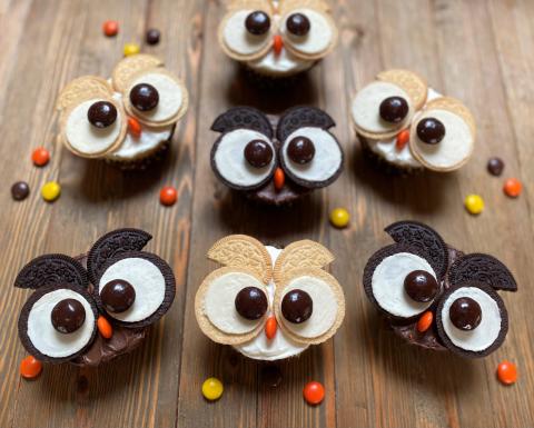 Owl Cupcakes