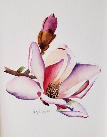 Painting of a magnolia