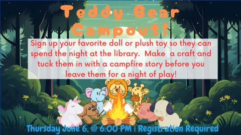 Teddy Bear Camp Out