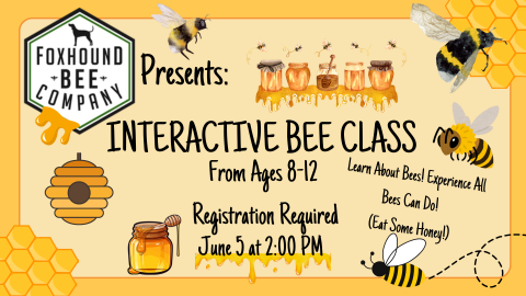 Image with a yellow background and graphics of bees. Text contains information about the Tween Interactive Bee Class with Foxhound Bee Company.