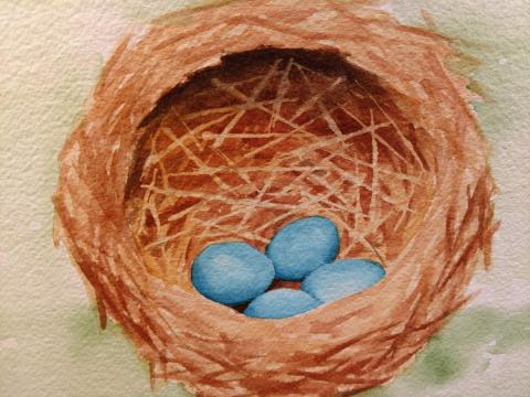 Watercolor nest with eggs