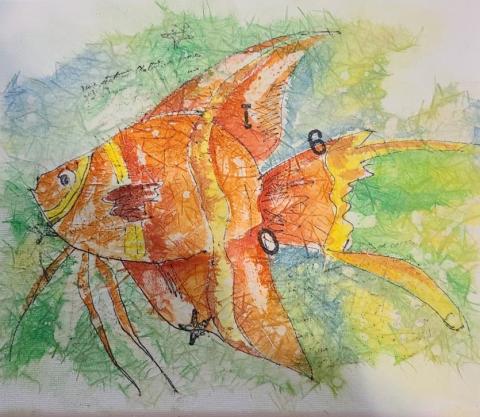 batik orange fish