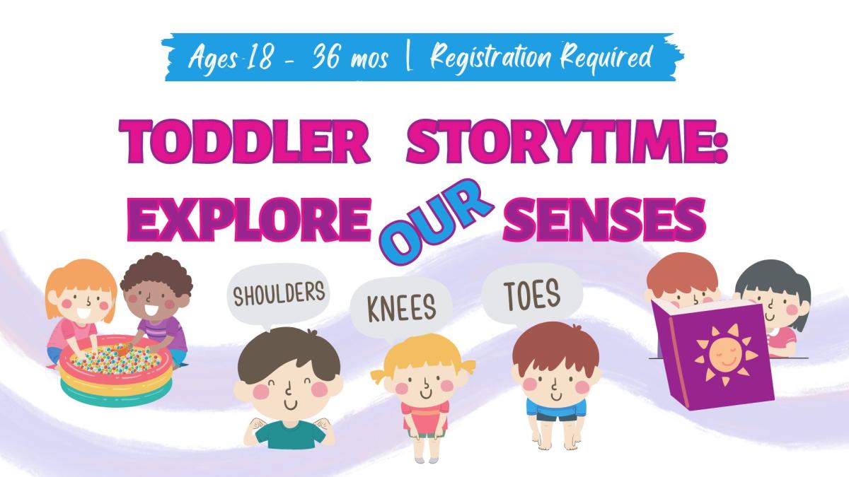 Graphic pics of toddlers playing with sensory balls, reading a book, and acting out the song 'head, shoulders, knees, and toes'.   Text reads Toddler Storytime: Explore our Senses, Ages 18-36 months.